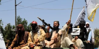 طالبان بیتالمال را هدر میکنند