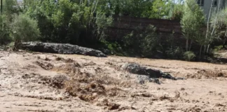 سیلاب در بادغیس جان ۵ تن را گرفت