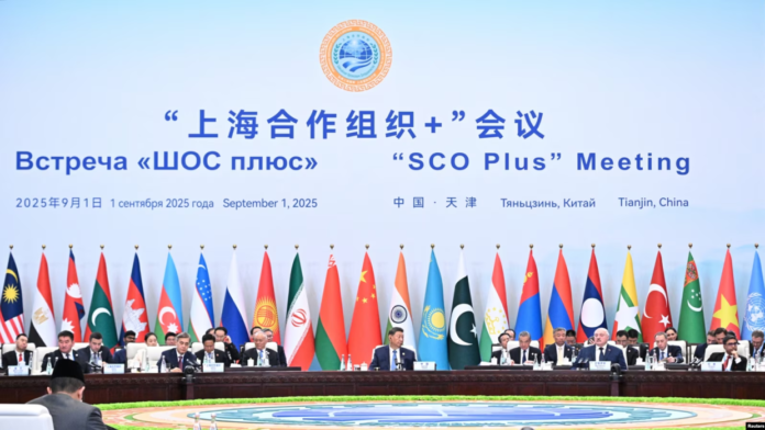 65ec7764-4fda-4378-a722-886248d718fd_w1597_n_r1_s_s