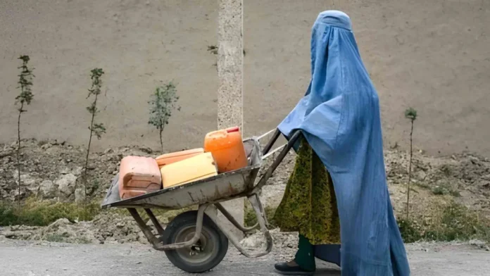 622154af-1aaf-4057-4311-08de3c91433d_cx0_cy3_cw0_w408_r1_1