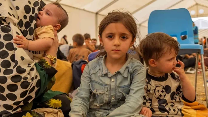 69b0145696cf1_1773147222_1