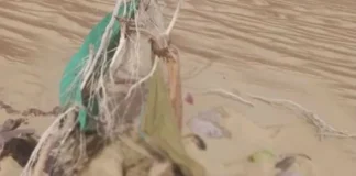د نیمروز په دښتو کې د ۱۹ ځوانانو مړي موندل شوي