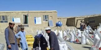پکتیکا کې لسګونو کورنیو ته د چرګانو فارمونه جوړ شول