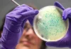 New antibiotics developed using Artificial Intelligence to combat resistant microbes