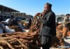 100 tons of dried figs were exported from Kandahar to India