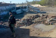 Four members of peace committee killed in Pakistan