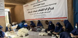 UNODC: Italy provides €1 million to empower Afghan women and youth