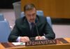 Afghanistan’s representative and UN Rapporteur call for recognition of gender apartheid