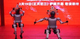 China marks Lunar New Year with Martial Arts performances by robots
