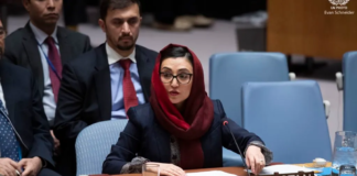 Adila Raz appointed to UN advisory board on Multidimensional Vulnerability Index (2026-2030)