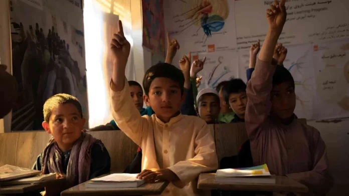 69aad06568a7e_1772802149_1