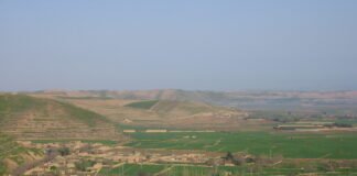 Armed Thieves Kill Two Goldsmith Brothers in Faryab