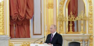Putin Announces Major Gas Pricing Concession to Armenia