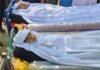 Four Members of a Family Killed in Logar Province