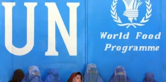 UN Says Restrictions on Women Have Further Weakened Afghanistan’s Economy