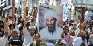 Reuters: Al-Qaeda Still Has Operational Capacity in Afghanistan